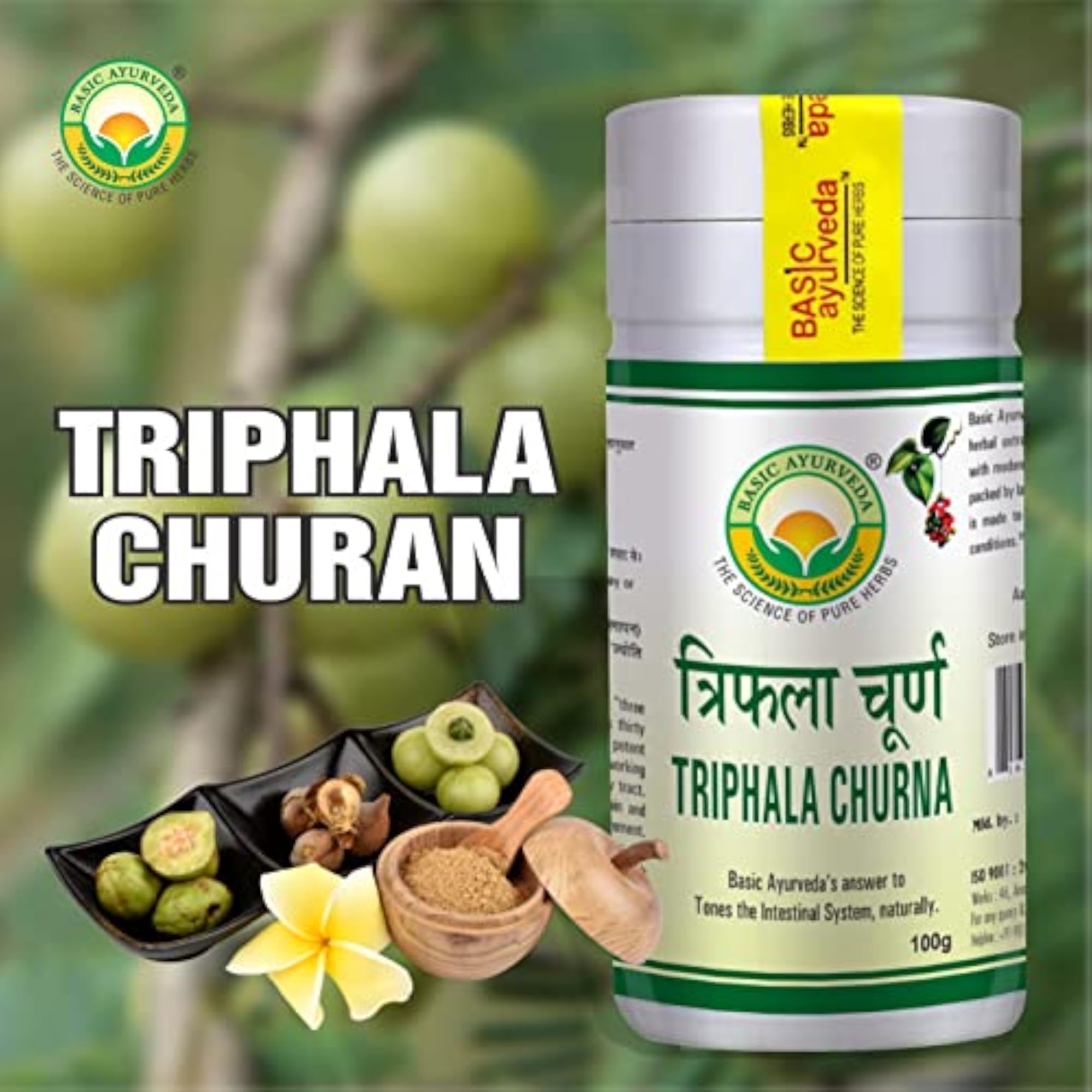 BASIC AYURVEDA Triphala Churna for Digestive Health