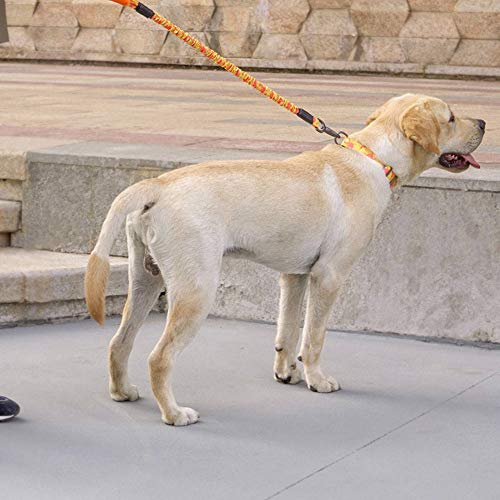 Nishore Trela de cão Trela de treinamento de cão com alça acolchoada confortável para cães médios gr