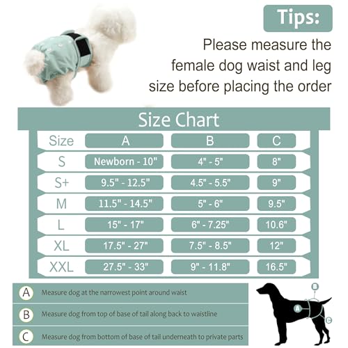 Image of Washable Female Dog Diapers (5 Pack) - Doggie Reusable Small Medium Large Dog Diapers for Doggy Puppy Female in Period - Highly Absorbent Dog Heat Panties,S Plus,Flowers