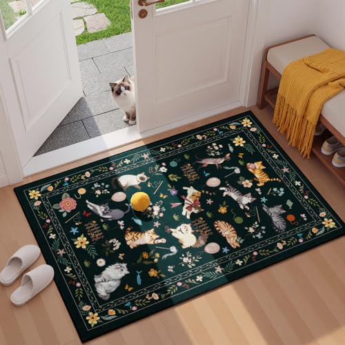 Unirea 2x3 Small Black Washable Cat Area Rug, Door Mat