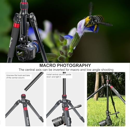 Image of Camera Tripod, 70 inch Video Tripod with Fluid Head, Aluminum Heavy Duty Tripod with Carry Bag, Professional Camera Tripods & Monopods, Compatible with Canon, Sony, DSLR, Camcorder (TM70-FB1)