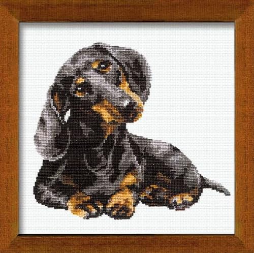 Image of RIOLIS - Dachshund 906, Dogs Cross Stitch Kits 9,84 inch x 9,84 inch, Counted Cross Stitch Kits, Counted Cross Stitch Kits for Beginners & Advanced, Cross Stitching Kits for Adults, Dog Embroidery Kit
