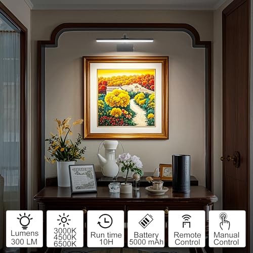 Image of RAIFOOLLY Picture Light, 16inch Picture Lights for Wall Cordless with Timer and Dimmable, 5000mAh Battery Wall Lights for Display Gallery Painting Art Frame Portrait-Black