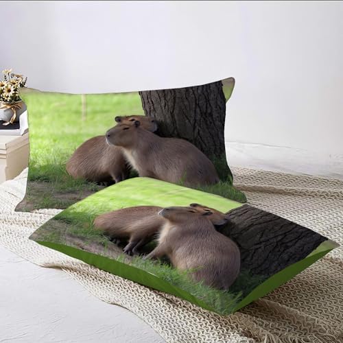 Parure de lit 140x200 capybara 3D réversible avec housse de couette microfibre douce - 8