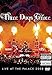 Three Days Grace: Live at the Palace 2008