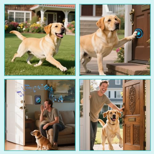 Yoiilifee-Dog-Door-Bell-for-Potty-Training-Smart-Wireless-Doggie-Doorbell-to-Go-Outside-1000-Feet-Long-Range-with-IP65-Waterproof-Super-Light-Touch-Button-60-Melodies-Adjustable-Volume