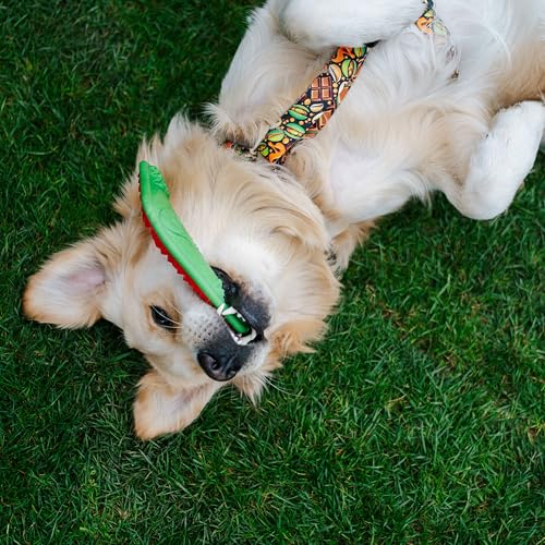 Dingo Hundespielzeug aus Hart Gummi TPR Boomerang 23 cm 17395