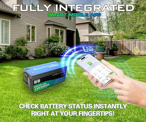 Image of 12 Volt 300Ah Lithium Golf Cart Battery, 12V LiFePO4 Battery, 200A BMS, 4000+ Cycles, 3.84 kWh Energy, 2.56kW Max Power Output, Perfect for Off-Grid, Home Storage, RV, Marine