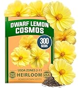 Small manufacture image 10