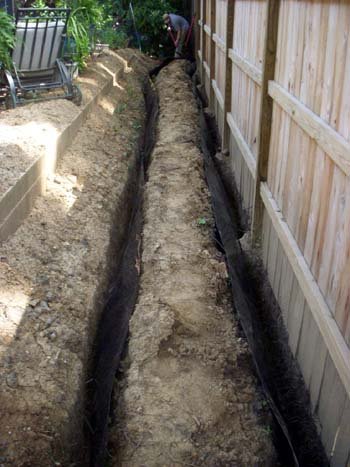 Bamboo Shield - 40 feet Long x 24 inch x 60 mil - Bamboo Root Barrier/Water Barrier - Thumbnail 7