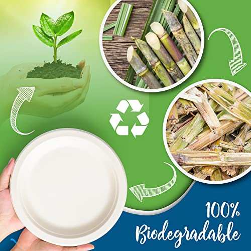 Paper Plates 7 Inch [150 Count] White Heavy-Duty - Microwavable, Hot & Cold, Sturdy Grease Resistant, Eco-Friendly, Food Grade Sugar Cane Fiber #TOP2