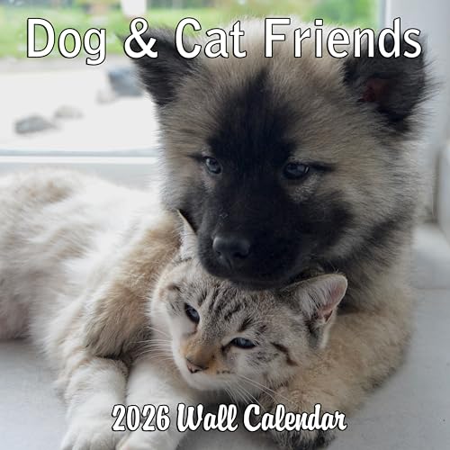 2026 Dog & Cat Friends Monthly Wall Calendar