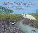 And the Tide Comes In...: Exploring a Georgia Salt Marsh (Long Term Ecological Research)
