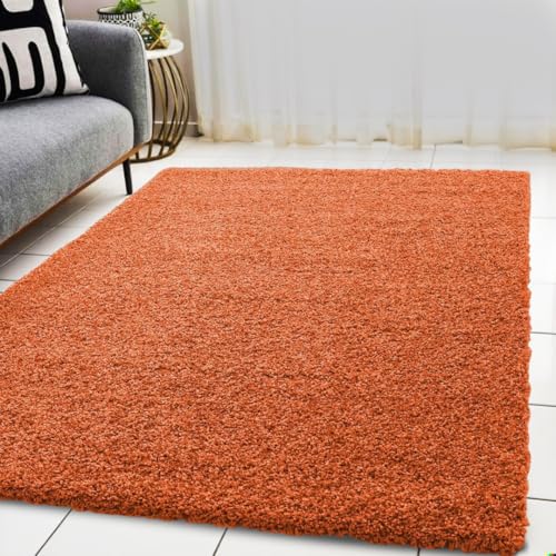 BPIL Living Room Rugs – 5cm Extra Thick Shaggy Rug – Soft Plain Area Rug, Luxurious Modern Carpet for Hall, Bedroom, Kitchen (Orange, 60x110cm)