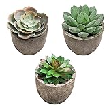 🌵Diseño de Imitación: Las coloridas y bellamente elaboradas plantas suculentas falsas en macetas se ven realistas y le dan una sensación realista, es decir, los colores son realistas y vívidos, y los materiales son un toque real.