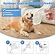 2 Stück Tablette Feeder,Medikamenten Feeder Spritze,Kunststoff Pet Pill Poppers,Tabletteneingeber Katze,Haustier Medikamenten Spritze,Wiederverwendbare Pusher Tablet,Für Katzen Hunde Kleintier