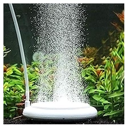 Amazon 水族館 空気石 水族館エア盤エアーポンプ Co2拡散器 バブルメイト 水槽用 気泡放出 水槽装飾 水族箱 エアストーン 細かい泡が出す 水の循環が良い 水槽気泡ストーン 酸素補給される 新鮮な空気を維持できる T100 Fbest ウォーターポンプ用アクセサリー 通販