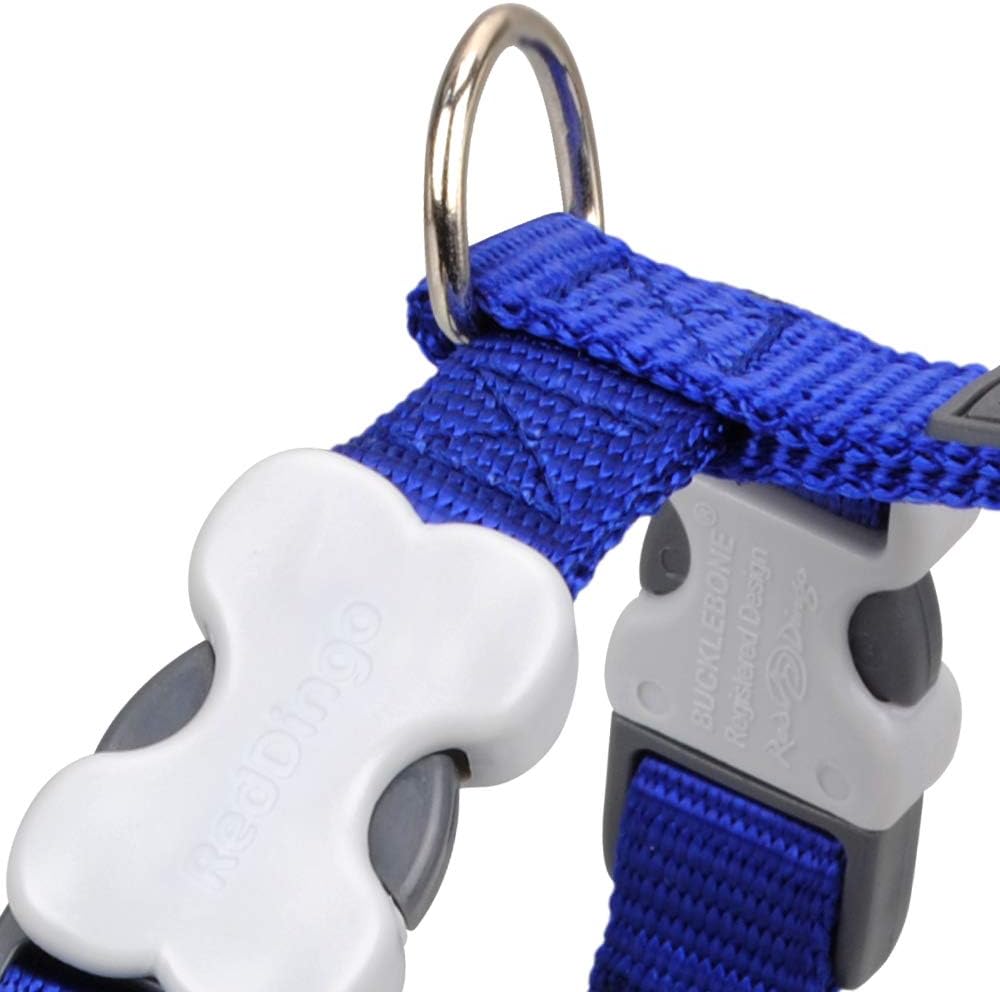 Red Dingo DH-ZZ-DB-15 Classic Harness Small, Dark Blue