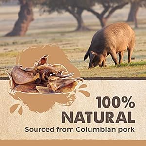 Mighty Paw Half Pig Ears for Dogs – All Natural Single Ingredient Pig Ear Treat – Better Than Rawhide Snacks for Puppies and Large Dogs – A Better Treat Dog Will Love – Dog Toys Compatible Chews