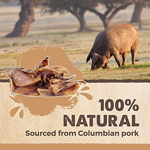 Mighty Paw Half Pig Ears for Dogs – All Natural Single Ingredient Pig Ear Treat – Better Than Rawhide Snacks for Puppies and Large Dogs – A Better Treat Dog Will Love – Dog Toys Compatible Chews Mighty Paw Half Pig Ears for Dogs – All Natural Single Ingredient Pig Ear Treat – Better Than Rawhide Snacks for Puppies and Large Dogs – A Better Treat Dog Will Love – Dog Toys Compatible Chews