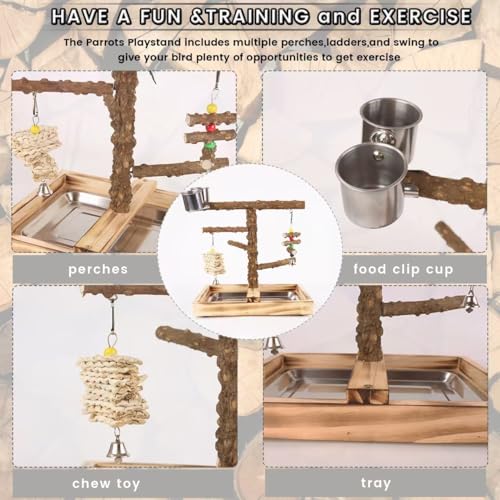 WishesMar Bird Playground Parrot Play Stand with Feeder Cup Climb Ladder and Tray Budgie Playground Cage Exercise Gym Toys for Parakeets Cockatiel Wooden - Image 3