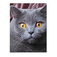 Amazon.co.jp: 猫 ブリティッシュ・ショートヘア アートパネル 絵画