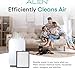 Alen Air Filter B4-Pure Replacement H13 True HEPA Filter for BreatheSmart 45i & Flex Air Purifier - Captures Allergens, Dust, & Mold (1 Filter)