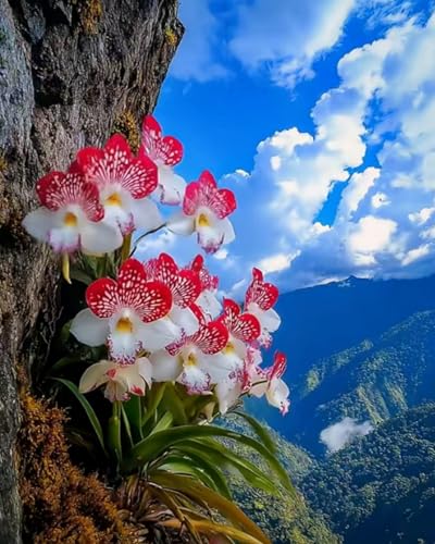 Xpdnmilq Kit de punto de cruz preimpreso para adultos, kit de bordado de patrón fácil de 11 quilates, decoración del hogar, flores de orquídea de acantilado, 40 x 50 cm