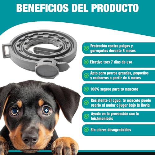 Vignette produit