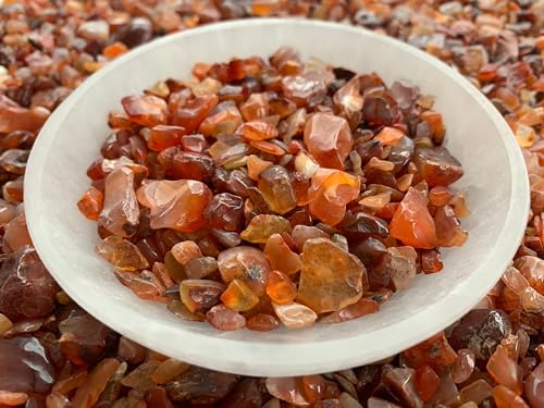 Image of GAF TREASURES 2 oz Lot Natural Carnelian Semi Tumbled Gemstone Chips, Crushed Mini Crystals, Undrilled Crystal Chips (Carnelian)