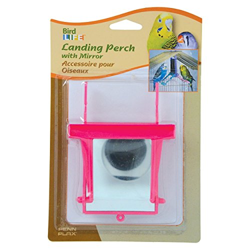 Image of Penn-Plax 64559 Landing Perch with Mirror