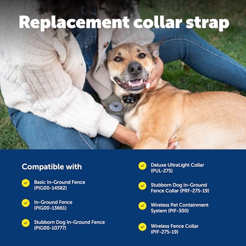 PetSafe 1 Inch Replacement Collar Strap with 2 Holes, Red - image 6