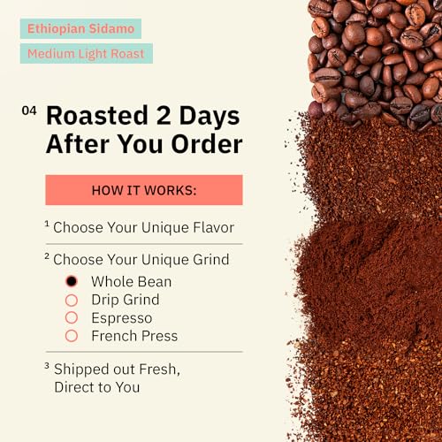 Café en grano Ethiopian Sidama, tueste medio claro, 12 oz miniatura 5