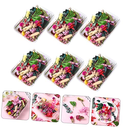 Materiales de Flores Secas para Manualidades DIY miniatura 4