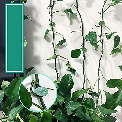 Alexsix 30 peças de clipes de parede para escalada de plantas, clipe fixo, formato de folha, grampo