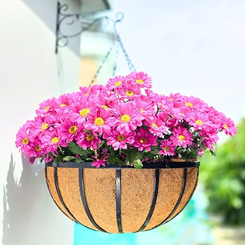 LaLaGreen Outdoor Hanging Baskets for Plants (2 Pack, 18 Inch) Extra Large Black Metal Flat Iron Hanging Planters with Coco Liner Round Flower Pot Holder Hanger Deck Porch Modern Garden Balcony Decor