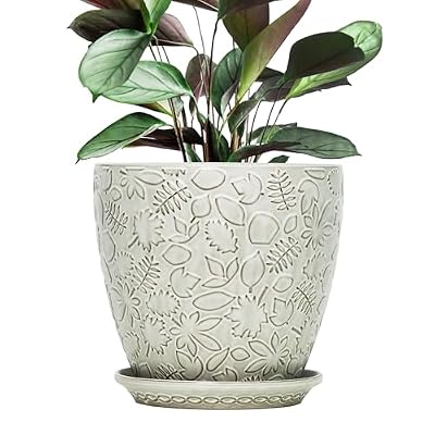 Bestseler 10inch Retro Ceramic Planter with Drainage Hole and Saucer for Multiple Plants, Indoor-Outdoor Garden Pots for Succulent, Orchid, and Flower (Fits Inner Pots Up to 9 Inch, Retro White)