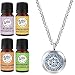 Key Medallion Essential Oil Diffuser Necklace Stainless Steel Locket Pendant with 24" Chain+ 4 Essential Oils Gift Set