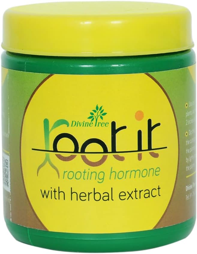 DIVINE TREE Root It Rooting Hormone Powder 50g | Root Booster & Growth Promoter for Plant Cuttings, Grafting & Propagation | Fast Root Growth Powder for Indoor & Outdoor Plants