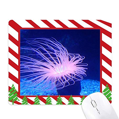 Tapis de souris Candy Cane de Noël en caoutchouc un cadeau idéal pour l'hiver