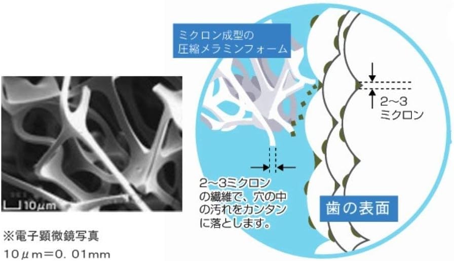 Clear Dent Tooth of Peeling Sponge
