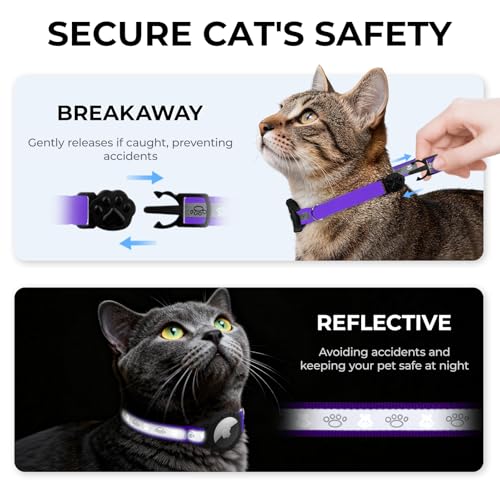 Collier de sécurité pour chaton violet ajustable avec support AirTag de qualité