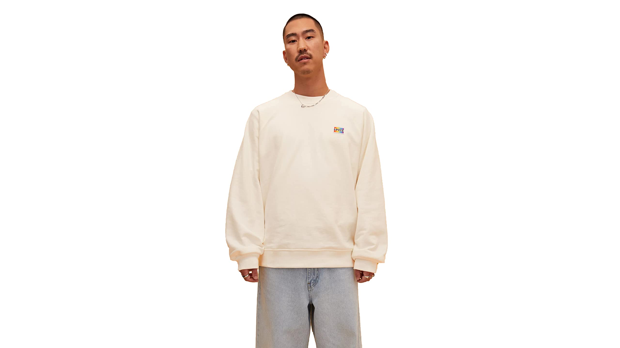 Levis Erkek Pride Relaxed Raglan Crewneck Sweatshirt