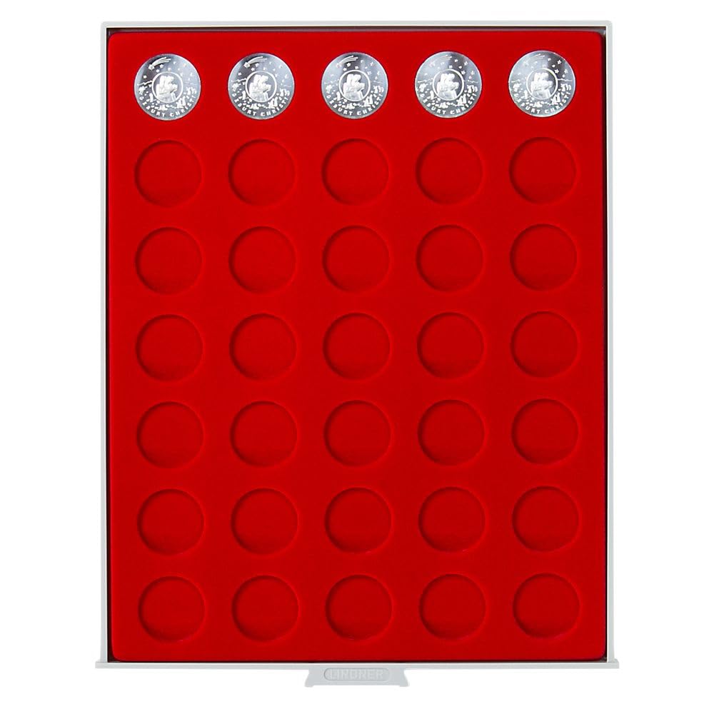 Bandeja Para Monedas Dobles Estándar Divisiones 210x270