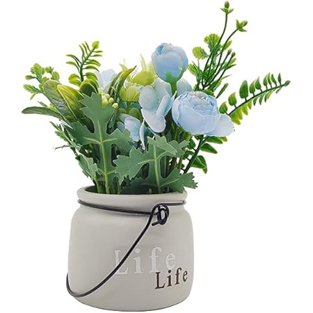 Amazon Twinkle Bubble 光触媒 造花 おしゃれ 花瓶付き 人工観葉植物 室内 インテリア 飾り 青い花 黄色 お花 盆栽 鉢植え 撮影 プレゼント ギフト ブルー 人工観葉植物 オンライン通販 Amazon Twinkle Bubble 光触媒 造花 おしゃれ 花瓶付き 人工観葉植物 室内 インテリア 飾り 青い花 黄色 お花 盆栽 鉢植え 撮影 プレゼント ギフト ブルー 人工観葉植物 オンライン通販