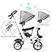 Kuntai Toddler Tricycle Stroller Trike with Parent Handle for Children 1-5 Years Old, Giant Baby/Boy/Girl Beginner Bike 4 in 1 Trike, 3 Wheels, Push Handle, Toddler Seat, Straps Toddler (Gray)
