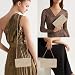 Imagen de XFSRG Bolsos de Mujer Elegantes Bolso de Mano de Noche Plisado 22×14×4