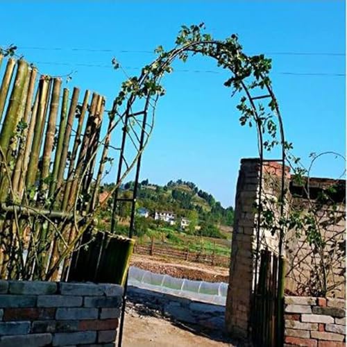 Arco grande de metal resistente con enrejado floral elegante 4