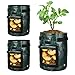 iPower Potato Grow Bags 5 Gallon 3 Pack with Flap, Sturdy Handles and Harvest Windows, Thick PE Fabric Planter Pots for Potato, Tomato, Carrot, Onion, Carrot, Vegetable and Fruits, Green