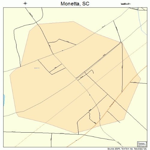Large Street & Road Map of South Carolina SC Printed poster